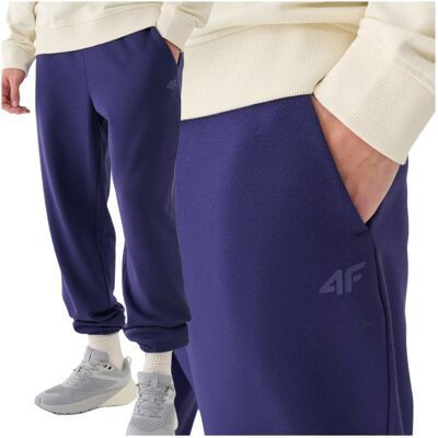 Spodnie dresowe joggery męskie 4F 4FWMM00TTROM1139-31S Niebieski Roz. XL Spodnie dresowe joggery męskie 4F 4FWMM00TTROM1139-31S Niebieski Roz. XL