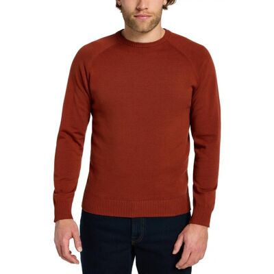 Sweter Męski Brązowy Lee 112355672 Clean Raglan Sweater Sweet Maple S Sweter Męski Brązowy Lee 112355672 Clean Raglan Sweater Sweet Maple S
