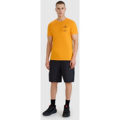 T-Shirt Męski 4F 4Frss25Ttshm2688-70S Pomarańczowy Roz. M T-Shirt Męski 4F 4Frss25Ttshm2688-70S Pomarańczowy Roz. M