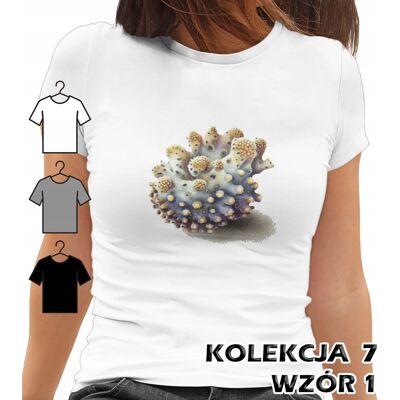 inna (Inny) T-SHIRT KOSZULKA DAMSKA MORSKIE ZWIERZĘTA ŻÓŁW KONIK MORSKI ROZGWIAZDA XS inna (Inny) T-SHIRT KOSZULKA DAMSKA MORSKIE ZWIERZĘTA ŻÓŁW KONIK MORSKI ROZGWIAZDA XS