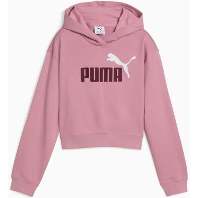 Bluza z kapturem dziewczęca Puma ESS 2 COLOR NO.1 LOGO 68607265 r 128 Bluza z kapturem dziewczęca Puma ESS 2 COLOR NO.1 LOGO 68607265 r 128