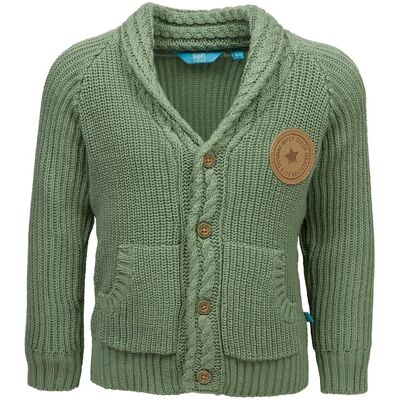 Chłopięcy sweter bawełniany zielony Lief r.74 Chłopięcy sweter bawełniany zielony Lief r.74