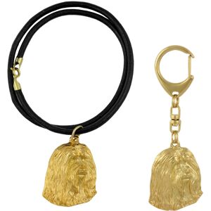 Bearded Collie, Highland Collie - brelok i naszyjnik z psem w pudełku, produkt pozłacany wysokiej jakości, marka Art-Dog Bearded Collie, Highland Collie - brelok i naszyjnik z psem w pudełku, produkt pozłacany wysokiej jakości, marka Art-Dog