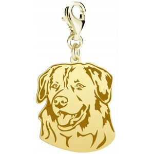 Radziszewska Charms Złoty Nova Scotia Duck Tolling Retriever 925 Karabińczyk DEDYKACJA Radziszewska Charms Złoty Nova Scotia Duck Tolling Retriever 925 Karabińczyk DEDYKACJA