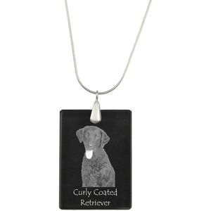 ART Curly Coated Retriever - kryształowa zawieszka z psem, srebrny naszyjnik ze ART Curly Coated Retriever - kryształowa zawieszka z psem, srebrny naszyjnik ze