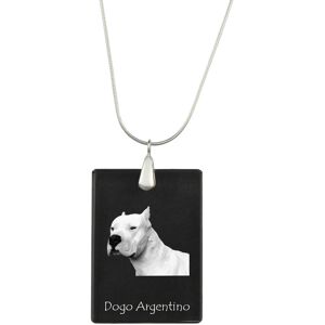 Dog argentyński, Dogo Argentino - kryształowa zawieszka z psem, srebrny naszyjnik ze zdjęciem, personalizowany wisiorek marki Art-Dog Dog argentyński, Dogo Argentino - kryształowa zawieszka z psem, srebrny naszyjnik ze zdjęciem, personalizowany wisiorek marki Art-Dog