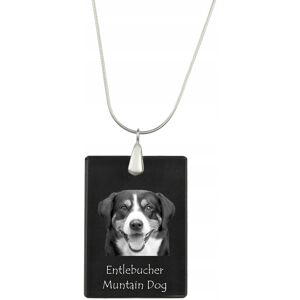 ART Entlebucher - kryształowa zawieszka z psem, srebrny naszyjnik ze zdjęciem, ART Entlebucher - kryształowa zawieszka z psem, srebrny naszyjnik ze zdjęciem,