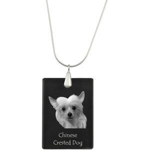 Grzywacz Chiński - kryształowa zawieszka z psem, srebrny naszyjnik ze zdjęciem, personalizowany wisiorek marki Art-Dog Grzywacz Chiński - kryształowa zawieszka z psem, srebrny naszyjnik ze zdjęciem, personalizowany wisiorek marki Art-Dog