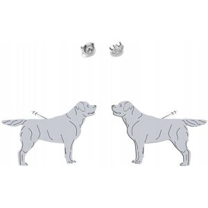 Radziszewska Kolczyki Srebrne Labrador Retriever 925 Biżuteria Prezent Kobieta DEDYKACJA Radziszewska Kolczyki Srebrne Labrador Retriever 925 Biżuteria Prezent Kobieta DEDYKACJA