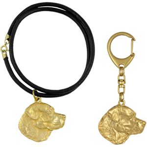 Labrador Retriever - brelok i naszyjnik z psem w pudełku, produkt pozłacany wysokiej jakości, marka Art-Dog Labrador Retriever - brelok i naszyjnik z psem w pudełku, produkt pozłacany wysokiej jakości, marka Art-Dog