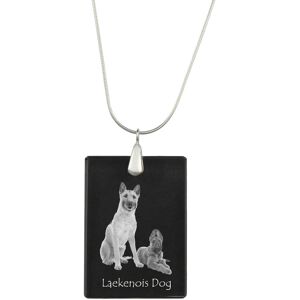 Laekenois Owczarek belgijski - kryształowa zawieszka z psem, srebrny naszyjnik ze zdjęciem, personalizowany wisiorek marki Art-Dog Laekenois Owczarek belgijski - kryształowa zawieszka z psem, srebrny naszyjnik ze zdjęciem, personalizowany wisiorek marki Art-Dog