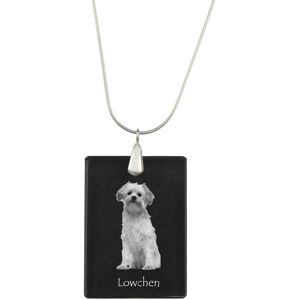 Lwi piesek, Lowchen - kryształowa zawieszka z psem, srebrny naszyjnik ze zdjęciem, personalizowany wisiorek marki Art-Dog Lwi piesek, Lowchen - kryształowa zawieszka z psem, srebrny naszyjnik ze zdjęciem, personalizowany wisiorek marki Art-Dog
