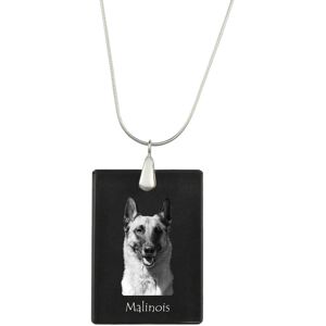 Malinois Owczarek belgijski - kryształowa zawieszka z psem, srebrny naszyjnik ze zdjęciem, personalizowany wisiorek marki Art-Dog Malinois Owczarek belgijski - kryształowa zawieszka z psem, srebrny naszyjnik ze zdjęciem, personalizowany wisiorek marki Art-Dog