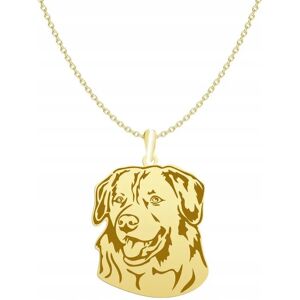 Radziszewska Naszyjnik Złoty Nova Scotia Duck Tolling Retriever 925 Łańcuszek GRAWER Radziszewska Naszyjnik Złoty Nova Scotia Duck Tolling Retriever 925 Łańcuszek GRAWER