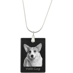 Pembroke Welsh Corgi - kryształowa zawieszka z psem, srebrny naszyjnik ze zdjęciem, personalizowany wisiorek marki Art-Dog Pembroke Welsh Corgi - kryształowa zawieszka z psem, srebrny naszyjnik ze zdjęciem, personalizowany wisiorek marki Art-Dog