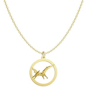 Radziszewska Złoty Naszyjnik Pterodactyl 925 Łańcuszek Kobieta Prezent GRAWER GRATIS Radziszewska Złoty Naszyjnik Pterodactyl 925 Łańcuszek Kobieta Prezent GRAWER GRATIS