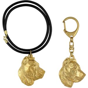 Presa Canario, Dog kanaryjski - brelok i naszyjnik z psem w pudełku, produkt pozłacany wysokiej jakości, marka Art-Dog Presa Canario, Dog kanaryjski - brelok i naszyjnik z psem w pudełku, produkt pozłacany wysokiej jakości, marka Art-Dog