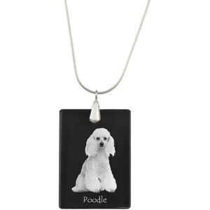Pudel - kryształowa zawieszka z psem, srebrny naszyjnik ze zdjęciem, personalizowany wisiorek marki Art-Dog Pudel - kryształowa zawieszka z psem, srebrny naszyjnik ze zdjęciem, personalizowany wisiorek marki Art-Dog