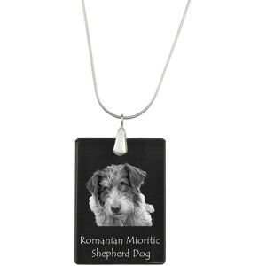 Romanian Mioritic Shepherd Dog - kryształowa zawieszka z psem, srebrny naszyjnik ze zdjęciem, personalizowany wisiorek marki Art-Dog Romanian Mioritic Shepherd Dog - kryształowa zawieszka z psem, srebrny naszyjnik ze zdjęciem, personalizowany wisiorek marki Art-Dog