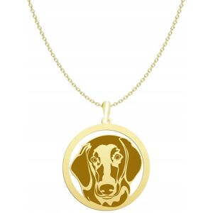 Radziszewska Naszyjnik Złoty z psem Flat Coated Retriever 925 Łańcuszek GRAWER GRATIS Radziszewska Naszyjnik Złoty z psem Flat Coated Retriever 925 Łańcuszek GRAWER GRATIS