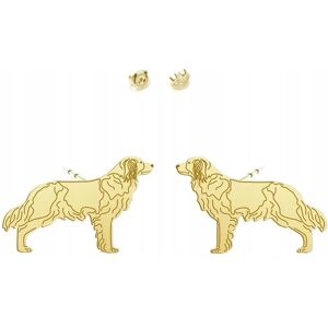 Radziszewska Kolczyki Złote z Płochacz Holenderski 925 Biżuteria Wkrętki DEDYKACJA Radziszewska Kolczyki Złote z Płochacz Holenderski 925 Biżuteria Wkrętki DEDYKACJA