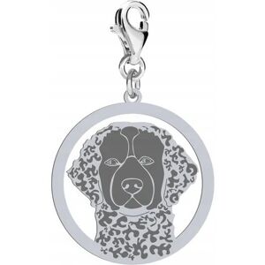 Radziszewska Charms Srebrny Curly Coated Retriever 925 Prezent Kobieta DEDYKACJA GRATIS Radziszewska Charms Srebrny Curly Coated Retriever 925 Prezent Kobieta DEDYKACJA GRATIS