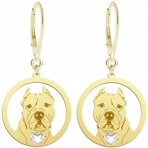Radziszewska Kolczyki Złote z psem Dogo Argentino 925 Biżuteria Prezent GRAWER GRATIS Radziszewska Kolczyki Złote z psem Dogo Argentino 925 Biżuteria Prezent GRAWER GRATIS