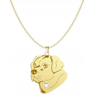 Radziszewska Naszyjnik Złoty z Labrador Retriever 925 Łańcuszek Prezent GRAWER GRATIS Radziszewska Naszyjnik Złoty z Labrador Retriever 925 Łańcuszek Prezent GRAWER GRATIS