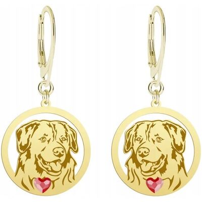 Radziszewska Kolczyki Złote Nova Scotia Duck Tolling Retriever 925 Bigiel Prezent GRAWER Radziszewska Kolczyki Złote Nova Scotia Duck Tolling Retriever 925 Bigiel Prezent GRAWER