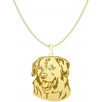 Radziszewska Naszyjnik Złoty Nova Scotia Duck Tolling Retriever 925 Łańcuszek GRAWER Radziszewska Naszyjnik Złoty Nova Scotia Duck Tolling Retriever 925 Łańcuszek GRAWER