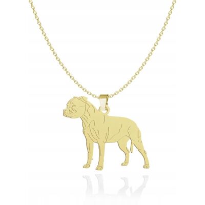 Radziszewska Naszyjnik Złoty z Staffordshire Bull Terrier 925 Biżuteria Łańcuszek GRAWER Radziszewska Naszyjnik Złoty z Staffordshire Bull Terrier 925 Biżuteria Łańcuszek GRAWER