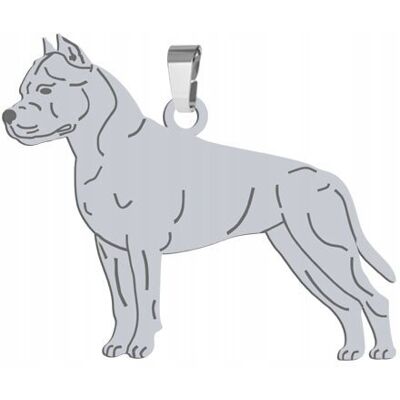Radziszewska Zawieszka Srebrna Amstaff 925 Prezent Kobieta GRAWER GRATIS Radziszewska Zawieszka Srebrna Amstaff 925 Prezent Kobieta GRAWER GRATIS