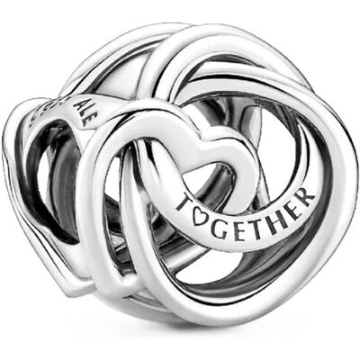 Charms Pandora 791507c00 Rodzina Jest Najważniejsza Charms Pandora 791507c00 Rodzina Jest Najważniejsza