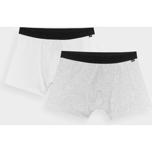 Bielizna bokserki (ZESTAW 2 PARY) męskie 4F 4FWMM00UBXSM059-90S MULTICOLOR Bielizna bokserki (ZESTAW 2 PARY) męskie 4F 4FWMM00UBXSM059-90S MULTICOLOR