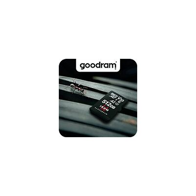 Inny producent Goodram Pamięć Ram 16gb Ddr5 7600mhz Cl36 Irdm Inny producent Goodram Pamięć Ram 16gb Ddr5 7600mhz Cl36 Irdm