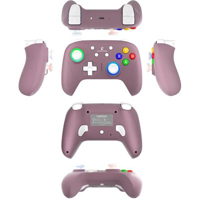 Anbernic P01 kontroler do gier Radian Purple Switch Anbernic P01 kontroler do gier Radian Purple Switch