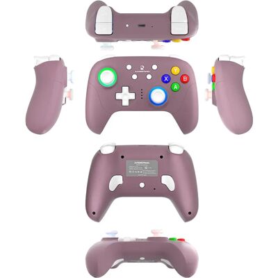 Anbernic P01 Kontroler Do Gier Radian Purple Switch Anbernic P01 Kontroler Do Gier Radian Purple Switch