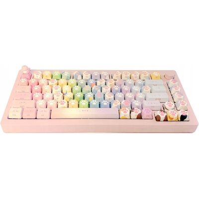 AKKO x MonsGeek M1W Assembled & Customized AKKO x MonsGeek M1W Assembled & Customized