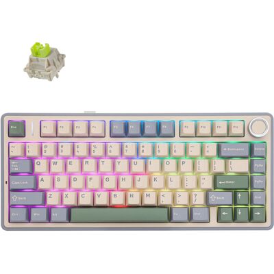 Aula F75 Bezprzewodowa Klawiatura Mechaniczna Rgb - Cedar Green Reaper Aula F75 Bezprzewodowa Klawiatura Mechaniczna Rgb - Cedar Green Reaper
