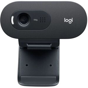 Kamera LOGITECH C505 HD 960-001364 Kamera LOGITECH C505 HD 960-001364