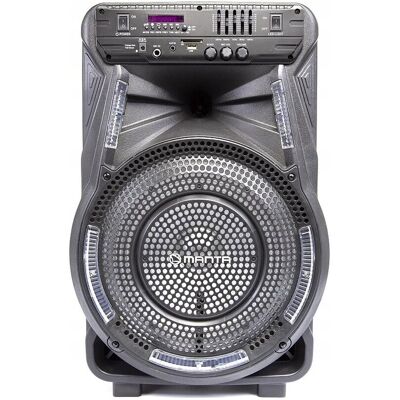 Inny producent Głośnik Power Audio Manta Spk 5033 40w Karaoke Inny producent Głośnik Power Audio Manta Spk 5033 40w Karaoke