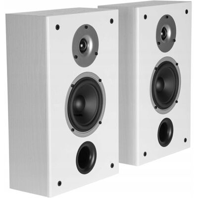 Wilson Raptor On-Wall Kolumny Głośnikowe Naścienne Stereo Hi-Fi Białe Para Wilson Raptor On-Wall Kolumny Głośnikowe Naścienne Stereo Hi-Fi Białe Para