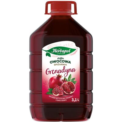 HERBAPOL SYROP GRENADYNA 3,1 L HERBAPOL SYROP GRENADYNA 3,1 L