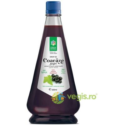 Inny producent Naturalny Syrop Z Czarnej Porzeczki Tłoczony Na Zimno 520ml Inny producent Naturalny Syrop Z Czarnej Porzeczki Tłoczony Na Zimno 520ml