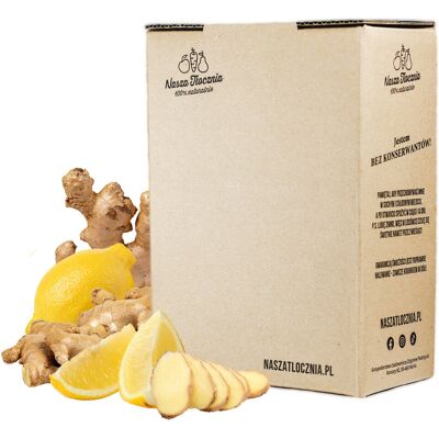 Nasza Tłocznia SOK 100% IMBIR Z CYTRYNĄ TŁOCZONY NATURALNY 3L Nasza Tłocznia SOK 100% IMBIR Z CYTRYNĄ TŁOCZONY NATURALNY 3L