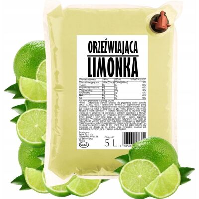 Sok z limonki 100% Sadvit 5L ORZEŹWIAJĄCA LIMONKA z limonek limonkowy Sok z limonki 100% Sadvit 5L ORZEŹWIAJĄCA LIMONKA z limonek limonkowy