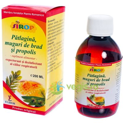 Inny producent Syrop Babkowy, Pąki Jodły i Propolis 200ml Inny producent Syrop Babkowy, Pąki Jodły i Propolis 200ml