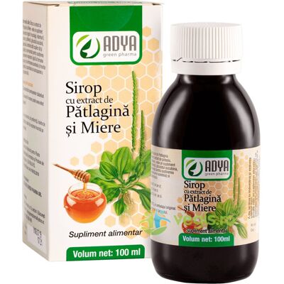 Inny producent Syrop Babkowy Z Miodem 100ml Inny producent Syrop Babkowy Z Miodem 100ml