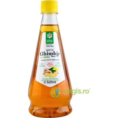 Inny producent Syrop Imbirowo-Limonkowy 520ml Inny producent Syrop Imbirowo-Limonkowy 520ml