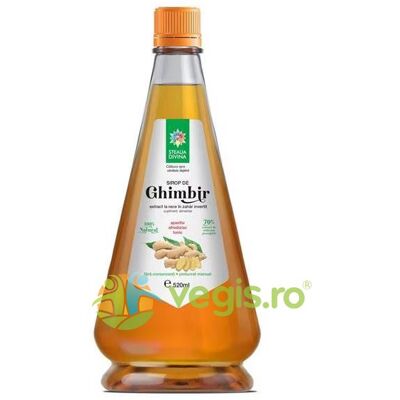 Inny producent Syrop imbirowy 520ml Inny producent Syrop imbirowy 520ml